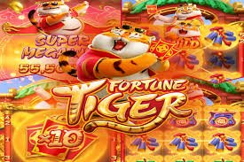 Studio live dealer Hacksaw Gaming dengan kamera multi-sudut di platform olxtoto com